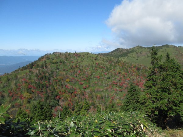 登山道